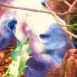 20120527-221415.jpg