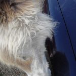 IMGP0945 – Copy – Copy – Copy